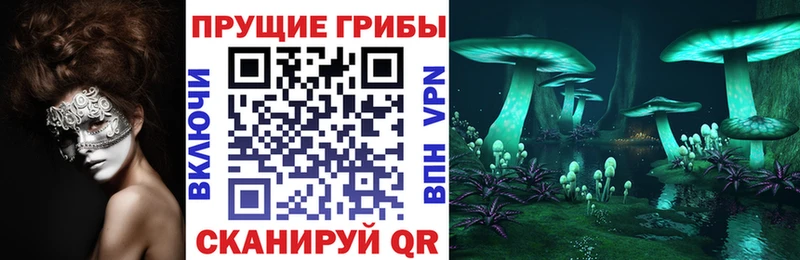hydra вход  наркота  Магнитогорск  Галлюциногенные грибы мухоморы 