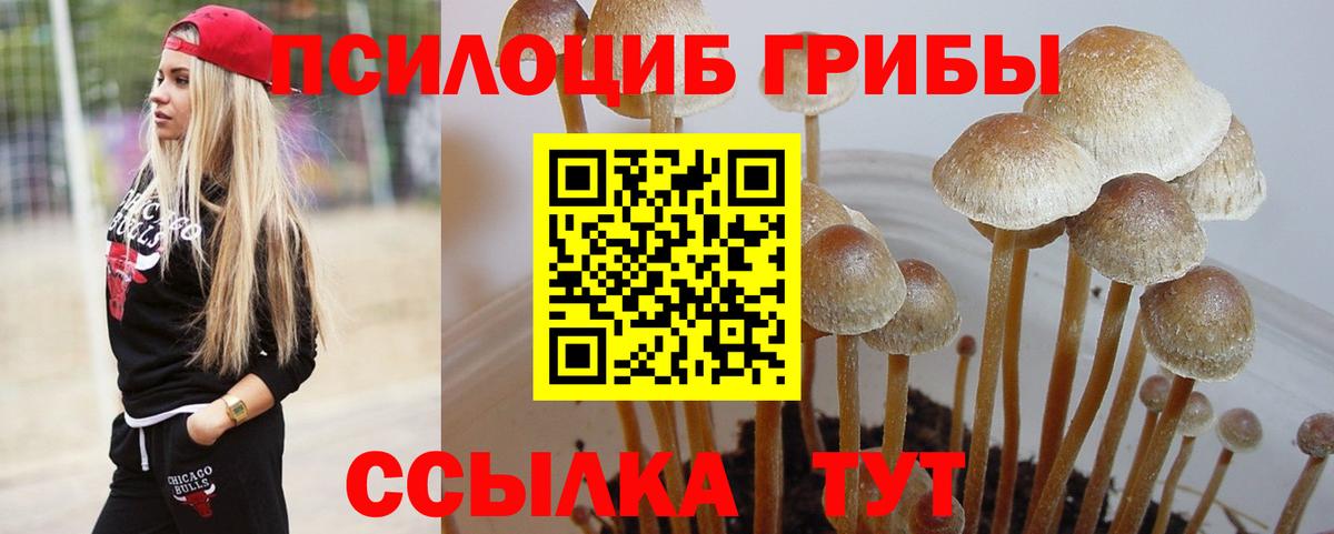 Магнитогорск  Галлюциногенные грибы Cubensis  Галлюциногенные грибы мухоморы  наркотики  Вход с VPN 